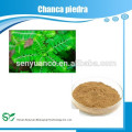 Beste populäre Qualität Chanca piedra PE